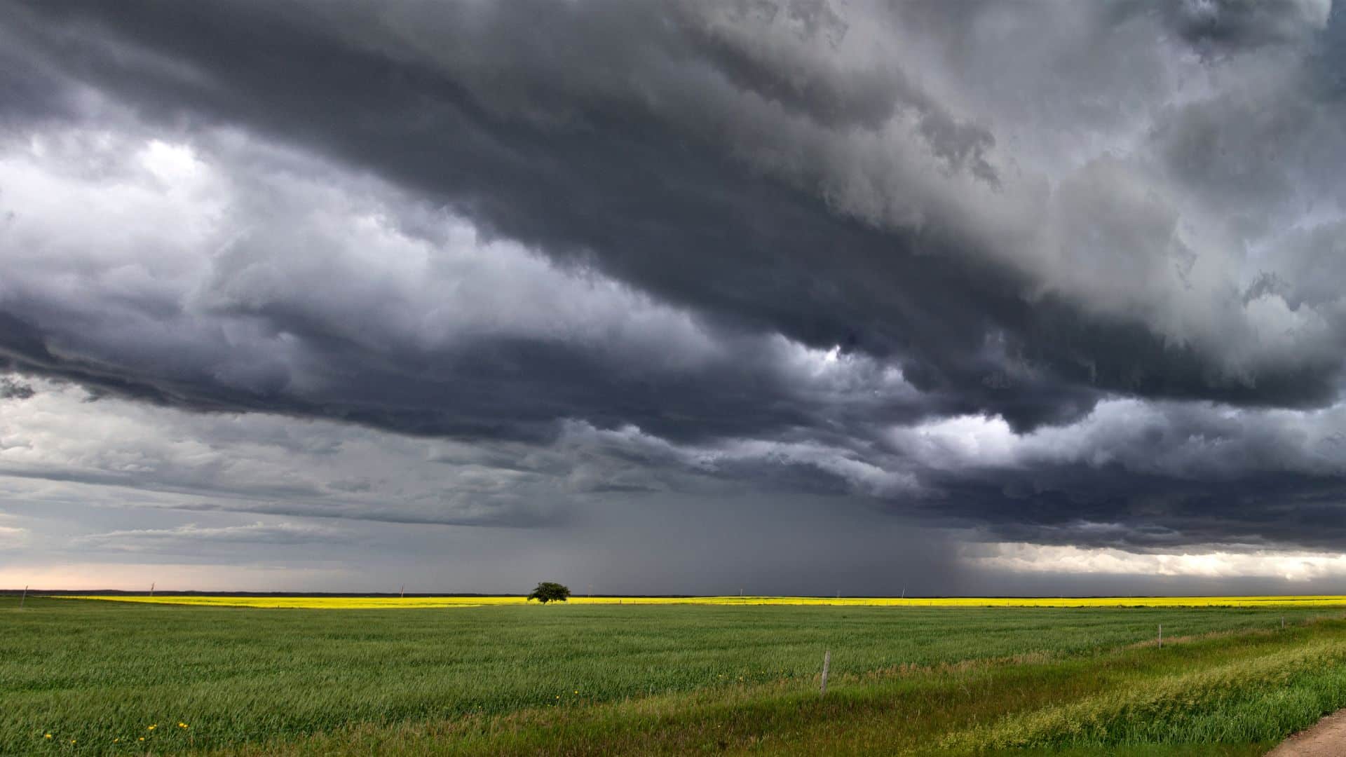 helicopter pilot error